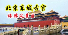 大鸡巴干必中国北京-东城古宫旅游风景区